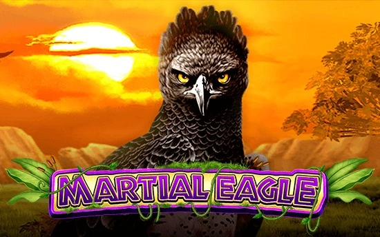 martial-eagle
