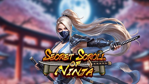 secret-scroll-of-ninja