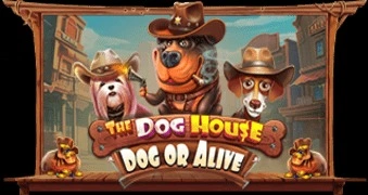 The Dog House – Dog or Alive