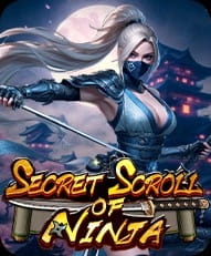 secret-scoll-of-ninja